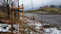 vesec alej 20211201 151340